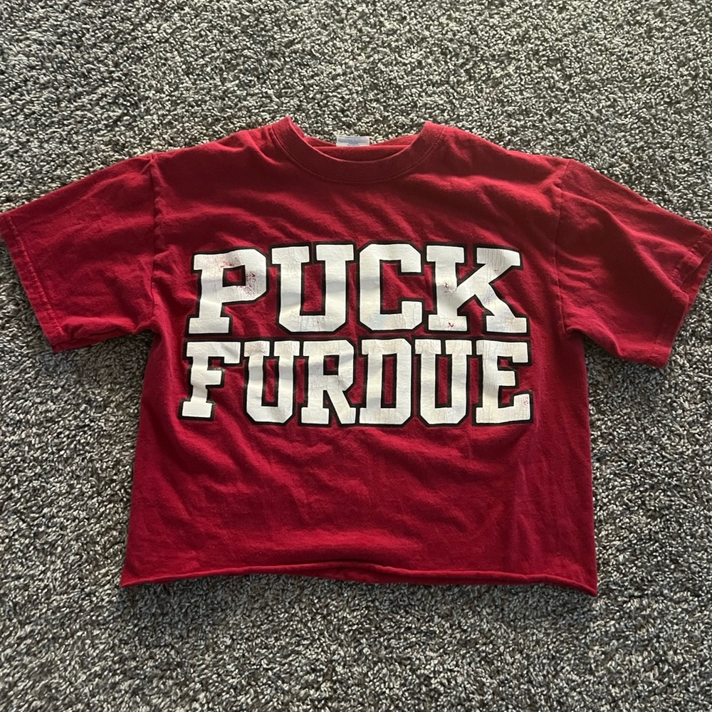 COPY - Indiana university crop top